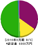 新川インダストリ 貸借対照表 2010年8月期