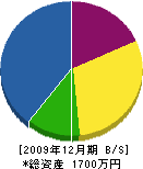 ノザキ電気 貸借対照表 2009年12月期