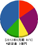田部井電機 貸借対照表 2012年6月期
