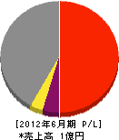 渋谷重機 損益計算書 2012年6月期
