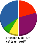 長谷川工業 貸借対照表 2009年5月期