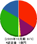 中ペン塗装店 貸借対照表 2009年10月期