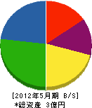 安田産業 貸借対照表 2012年5月期