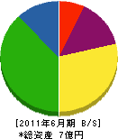 坂井 貸借対照表 2011年6月期