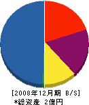 武内電気 貸借対照表 2008年12月期