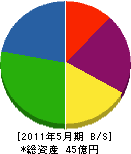 三澤建設 貸借対照表 2011年5月期