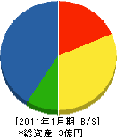 平岡産業 貸借対照表 2011年1月期