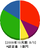 太洋建設 貸借対照表 2008年10月期