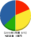 東海道路 貸借対照表 2010年3月期