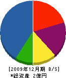 武内電気 貸借対照表 2009年12月期