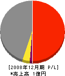 浜田組 損益計算書 2008年12月期