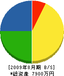 長浜海事 貸借対照表 2009年8月期