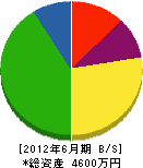 山田塗装工業所 貸借対照表 2012年6月期