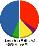 奥村組 貸借対照表 2007年11月期