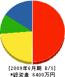 杉田建設興業 貸借対照表 2009年6月期