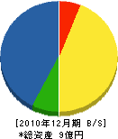 柴坂建設 貸借対照表 2010年12月期