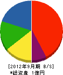 和田長建設 貸借対照表 2012年9月期