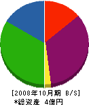 ゾイシアンジャパン 貸借対照表 2008年10月期