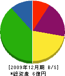 野村大理石 貸借対照表 2009年12月期