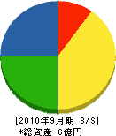 寺尾工業 貸借対照表 2010年9月期
