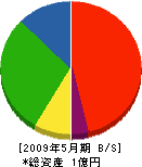 伊藤木材工業 貸借対照表 2009年5月期