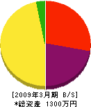 山田組 貸借対照表 2009年3月期