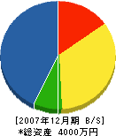 大寛建設 貸借対照表 2007年12月期