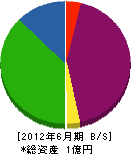 京本塗装工業 貸借対照表 2012年6月期