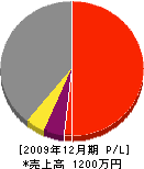 寺内義子 損益計算書 2009年12月期
