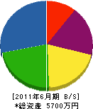 青山電機 貸借対照表 2011年6月期