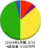 菊地造園 貸借対照表 2009年6月期