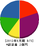 岩崎重機建設 貸借対照表 2012年6月期