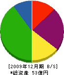 桐生瓦斯 貸借対照表 2009年12月期