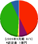 青柳工務店 貸借対照表 2009年9月期