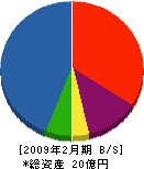 岡田電機 貸借対照表 2009年2月期