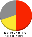 橋本設備工事 損益計算書 2010年6月期