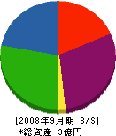 ヨコイ 貸借対照表 2008年9月期