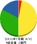 佐々木工業 貸借対照表 2012年7月期