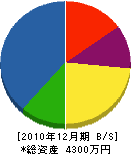 伊藤建具工業 貸借対照表 2010年12月期