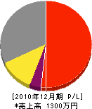 氏勝建設 損益計算書 2010年12月期