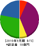 進栄海運建設 貸借対照表 2010年9月期