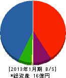 老川工業 貸借対照表 2013年1月期