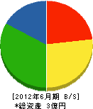 橋本 貸借対照表 2012年6月期