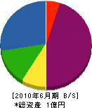 鈴木鋼業 貸借対照表 2010年6月期