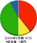 鮫島塗装店 貸借対照表 2009年8月期