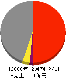 村井建設 損益計算書 2008年12月期