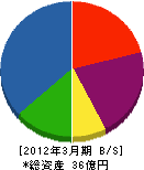 森井電業 貸借対照表 2012年3月期