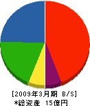 大澤塗装 貸借対照表 2009年3月期