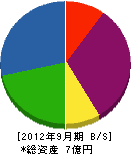 藤井電業社 貸借対照表 2012年9月期