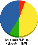 富山データー機器サービス 貸借対照表 2011年9月期